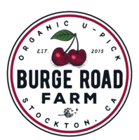 Burge Road Farm – Organic U-Pick, Stockton CA, Est. 2012